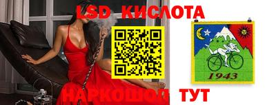шишки Можайск