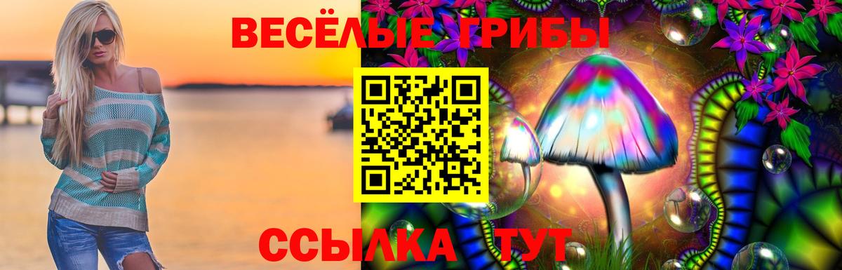 Галлюциногенные грибы Magic Shrooms  Псилоцибиновые грибы Magic Shrooms  Чита  Вход с VPN 